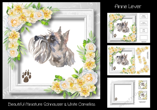Beautiful Miniature Schnauzer & White Camellias