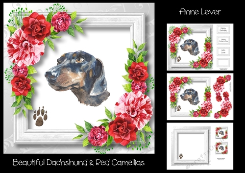 Beautiful Dachshund & Red Camellias