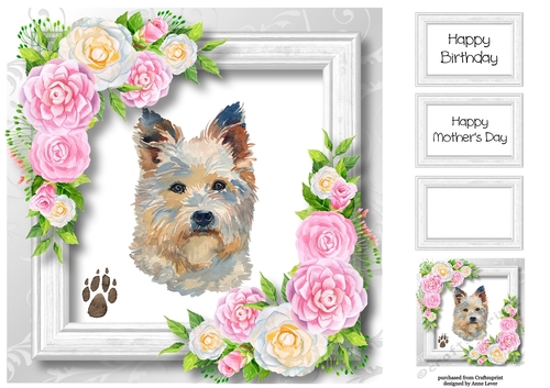 Beautiful Westie & Pink Camellias 8x8