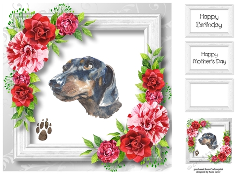 Beautiful Dachshund & Red Camellias 8x8