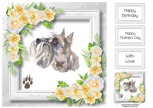Beautiful Miniature Schnauzer & White Camellias 8x8