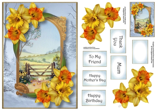 A Portal Into Spring - Daffodils A5