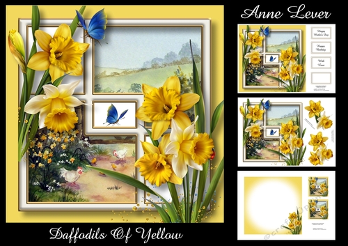 Daffodils Of Yellow