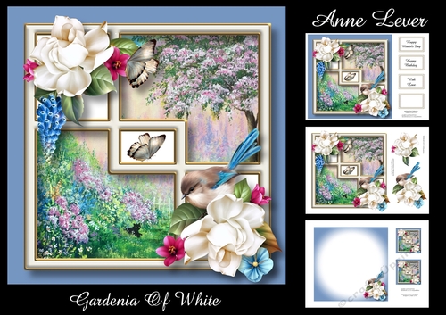 Gardenia Of White