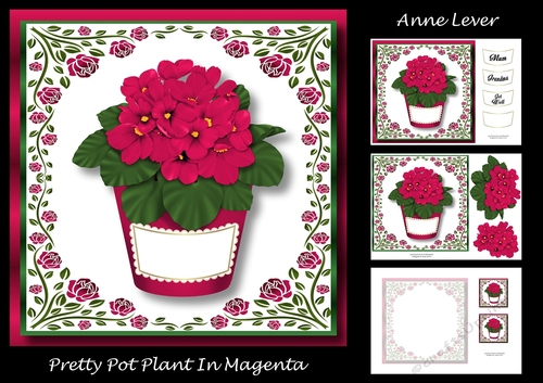 Pretty Pot Plant In Magenta