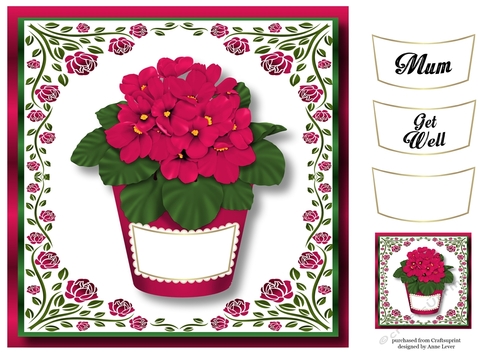 Pretty Pot Plant In Magenta 8x8