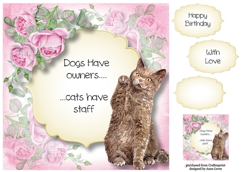 Cats Have Staff 8x8