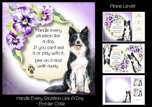 Handle Every Situation Like A Dog - Border Collie