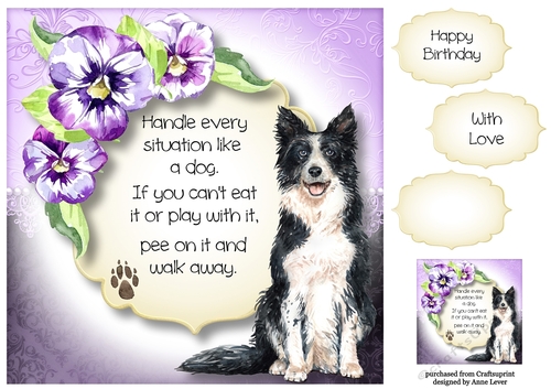Handle Every Situation Like A Dog - Border Collie 8x8