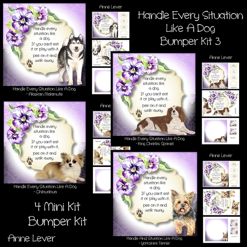 Handle Every Situation Like A Dog Bumper Kit 3