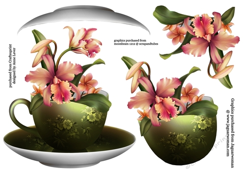 Floral Teacup & Saucer Decoupage Sheet - Aloha Orchids