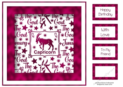 Zodiac In Pink - Capricorn