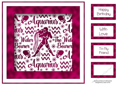 Zodiac In Pink - Aquarius