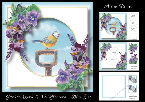 Garden Bird & Wildflowers - Blue Tit