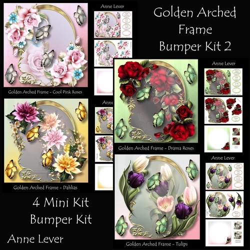 Golden Arched Frame Bumper Kit 2