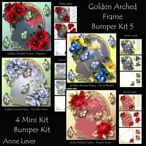 Golden Arched Frame Bumper Kit 5