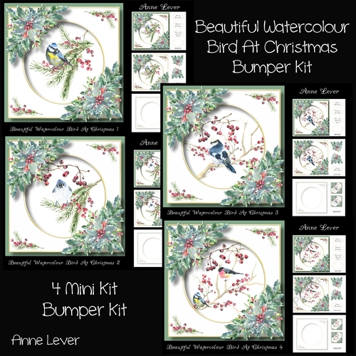 Beautiful Watercolour Bird At Christmas Bumper Kit