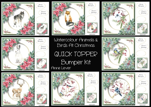 Watercolour Animals & Birds At Christmas QUICK TOPPER Bumper Kit