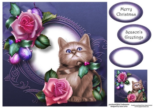 Sugar Plum Rose Kitten 8x8
