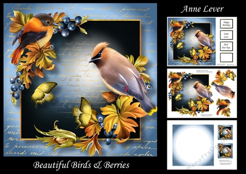 Beautiful Birds & Berries