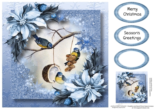 Snow Frame Christmas - Winter Birds 8x8