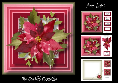 The Scarlet Poinsettia