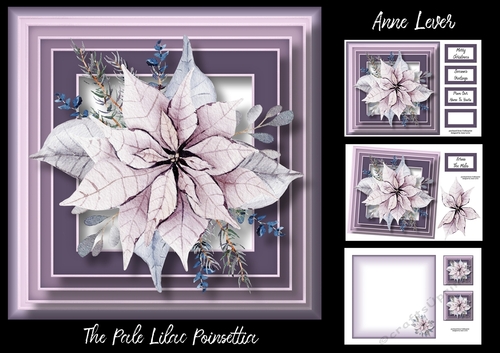 The Pale Lilac Poinsettia