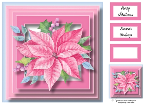 The Pink Poinsettia 8x8