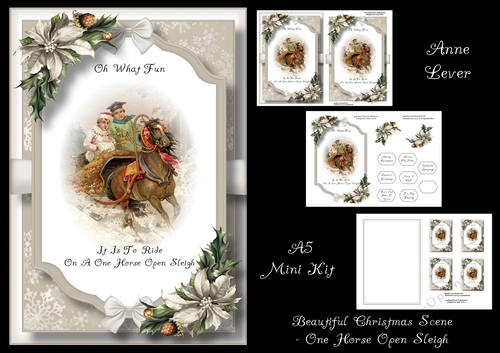 Beautiful Christmas Scene - One Horse Open Sleigh