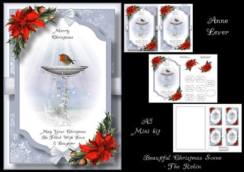 Beautiful Christmas Scene - The Robin