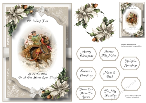 Beautiful Christmas Scene - One Horse Open Sleigh A5