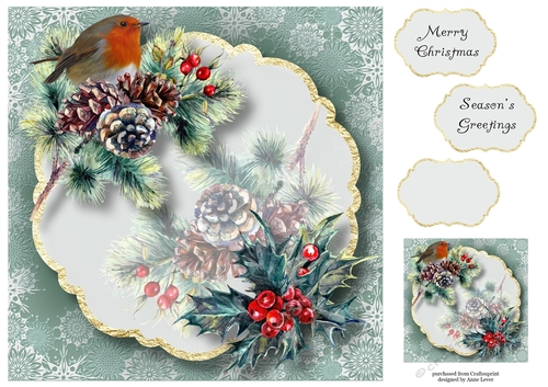 Gold Foil Transparent Christmas - Robin 8x8