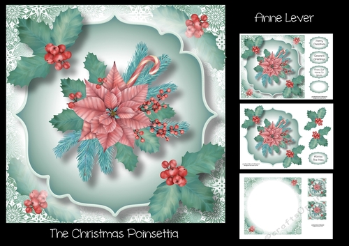 The Christmas Poinsettia