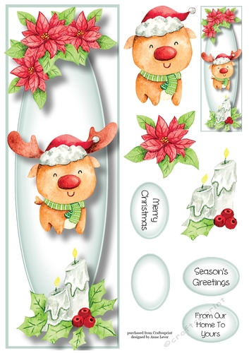 Jolly Rudolf Lge DL