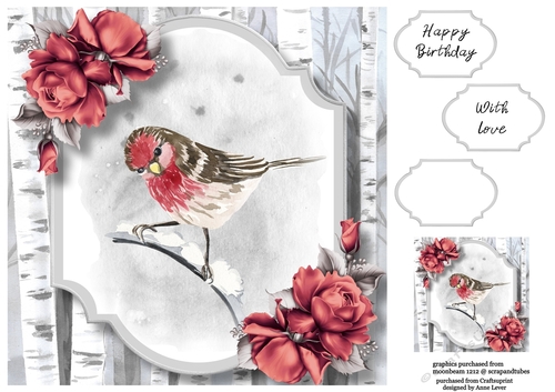 Watercolour Winter Bird Birthday 4 8x8