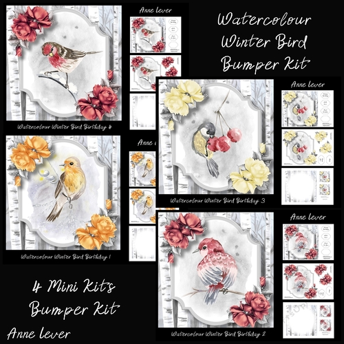 Watercolour Winter Bird Birthday Bumper Kit
