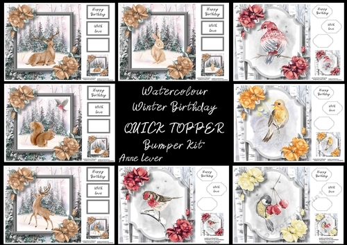 Watercolour Winter Birthday QUICK TOPPER Bumper Kit