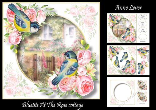 Bluetits At The Rose Cottage