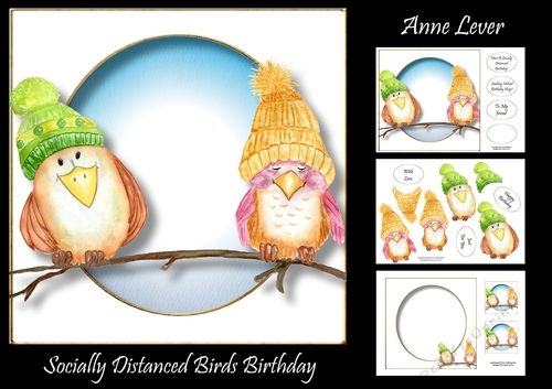 Socially Distanced Birds Birthday