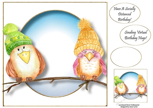 Socially Distanced Birds Birthday 8x8