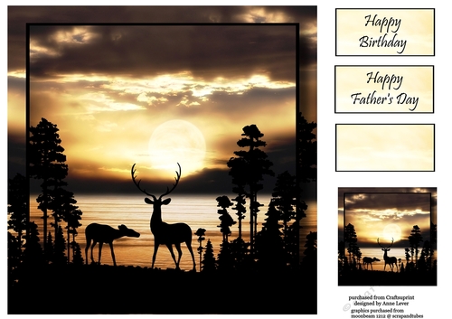 Stag Silhouette (Male) - Sunset 8x8