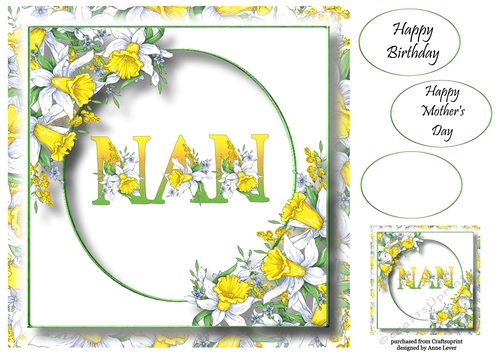 Beautiful Spring Daffodils - Nan 8x8
