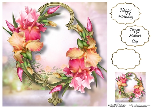 Gorgeous Flowers On Golden Frame - Blush Iris 8x8