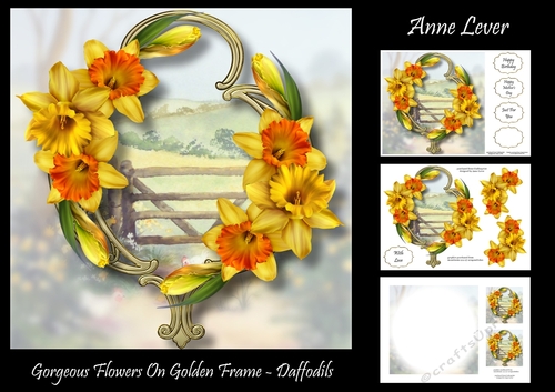 Gorgeous Flowers On Golden Frame - Daffodils
