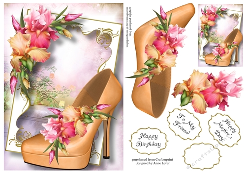 Fabulous Shoes - Blush Iris A5