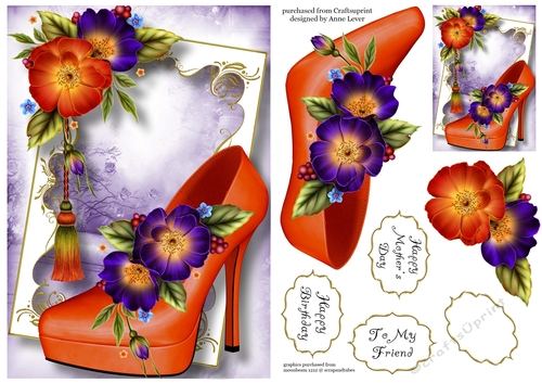 Fabulous Shoes - Wild Roses A5