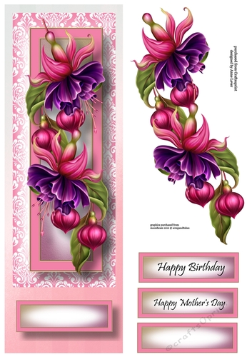 Floral Lge DL - Fuschia