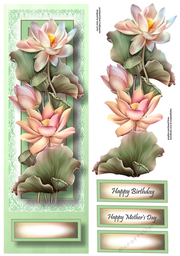 Floral Lge DL - Lotus