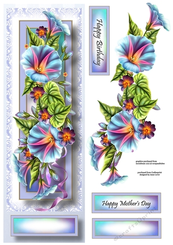 Floral Lge DL - Morning Glory