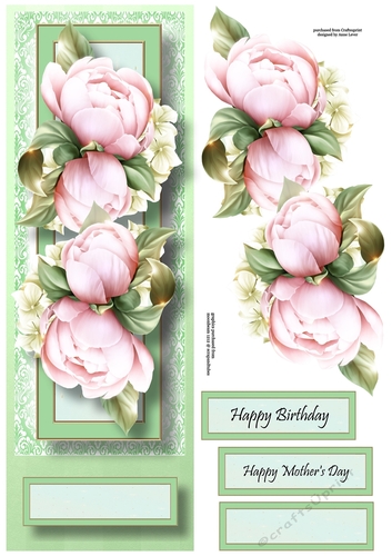 Floral Lge DL - Peony